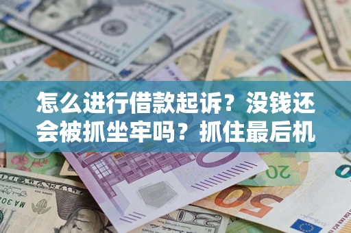 济南怎么进行借款起诉？没钱还会被抓坐牢吗？抓住最后机会！