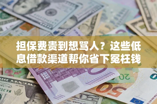 济南担保费贵到想骂人？这些低息借款渠道帮你省下冤枉钱