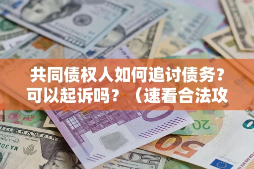 济南共同债权人如何追讨债务？可以起诉吗？（速看合法攻略）